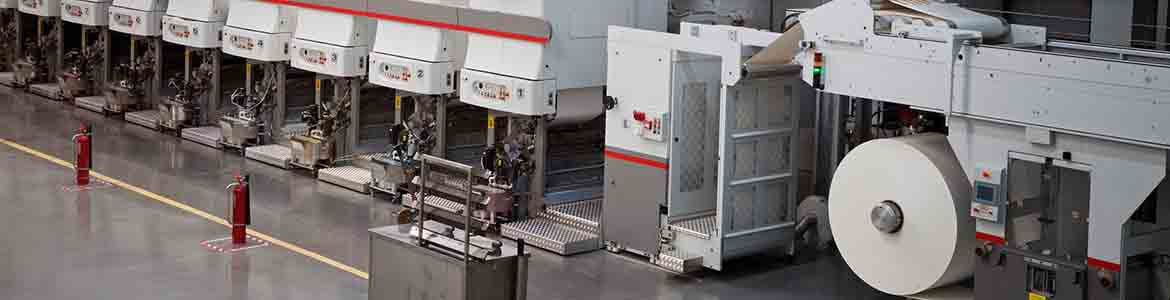Paper Pulp